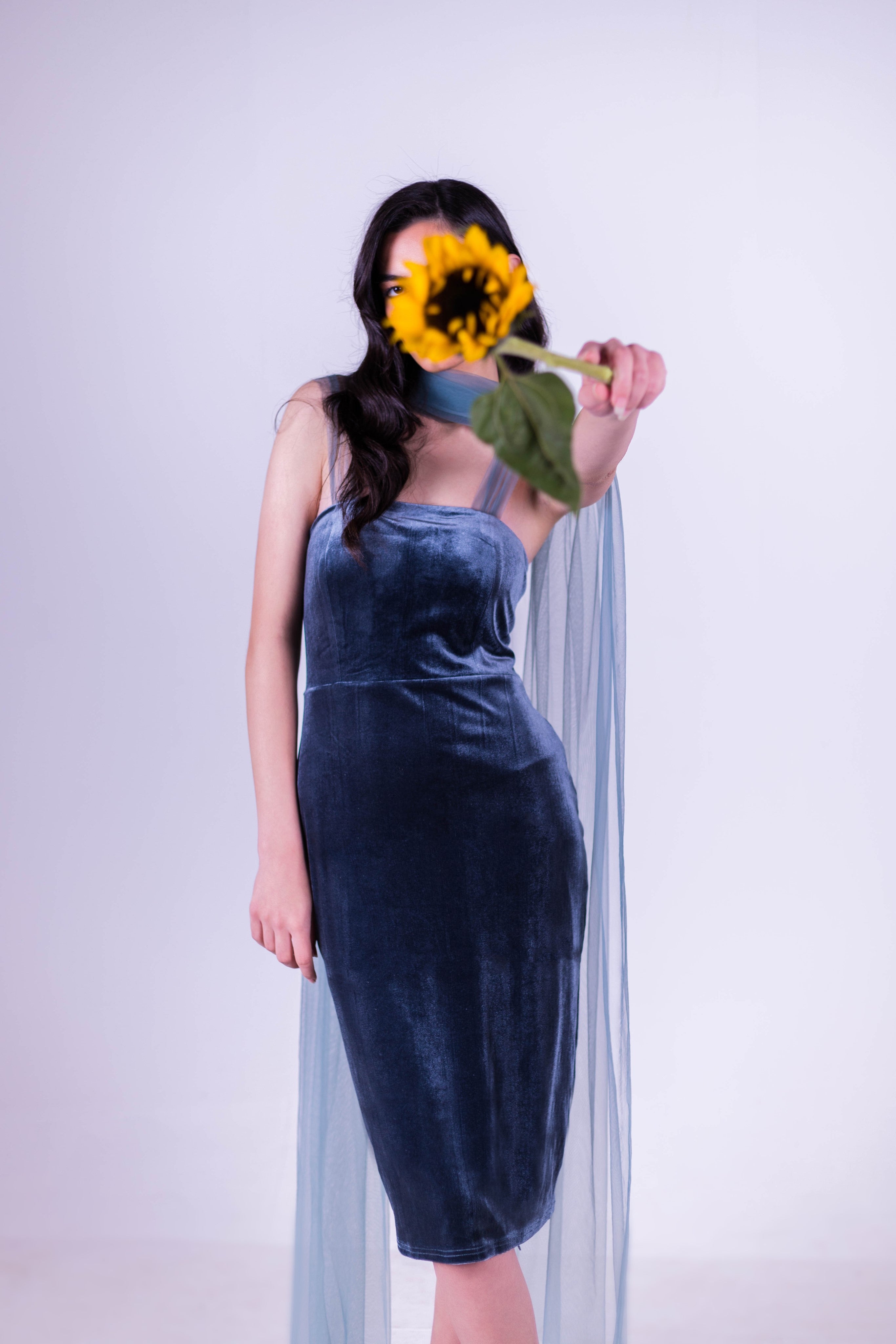 Audrey Velvet Dress