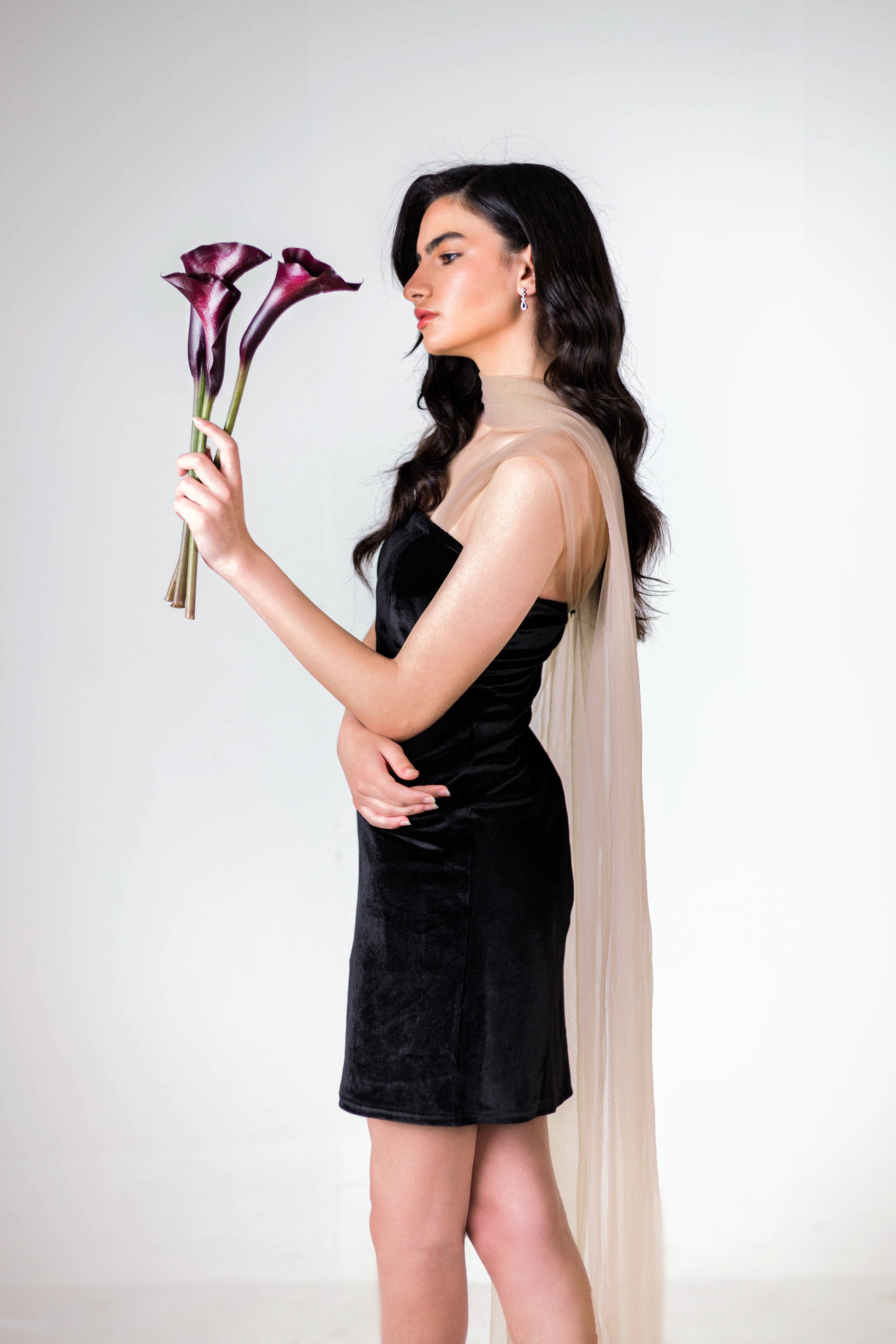 Audrey Velvet Dress